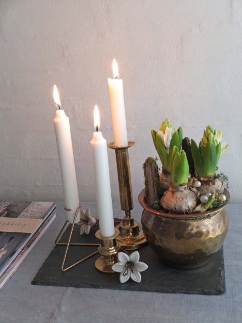 Januar 2015 014 -blog