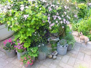 Juni 2015 Sommerterrasse og Gabbie