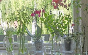 Juni 2015 sommervindue 2