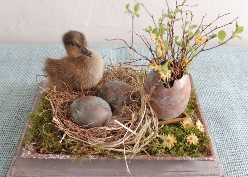 Kobber æg og udstoppet ælling 012