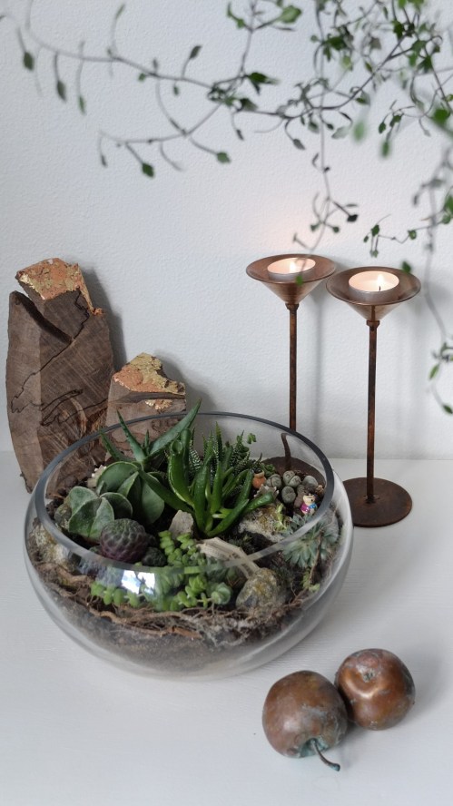 Blomsterterrarium 1 009