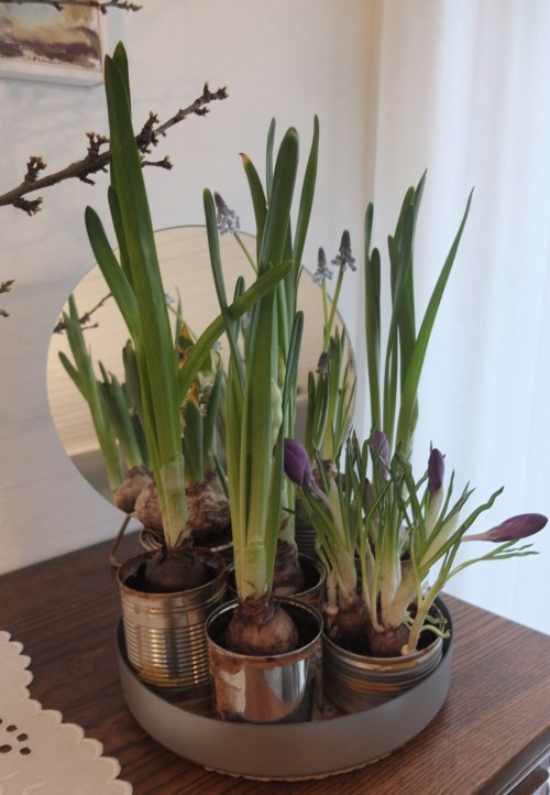 foraarsloeg-med-spejl-1